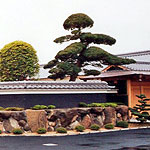 崩れ石積み